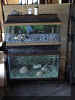 aquarium.jpg (88598 bytes)